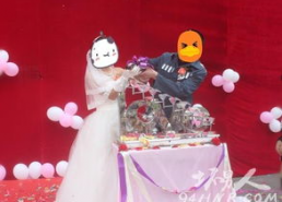 张倩倩个人资料,才华横溢的年轻才女，多领域成就斐然